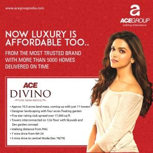 ACE Divino