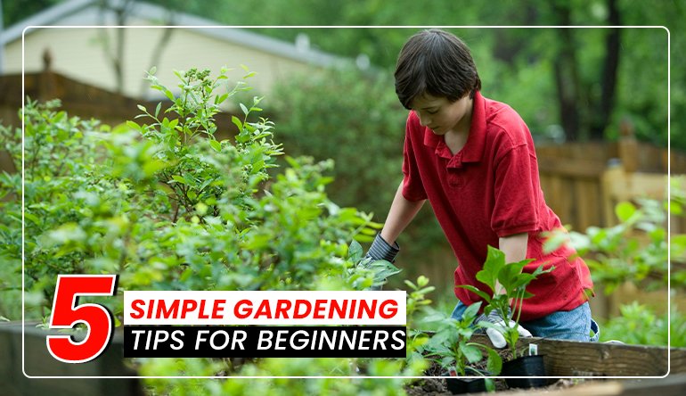 gardening for beginners