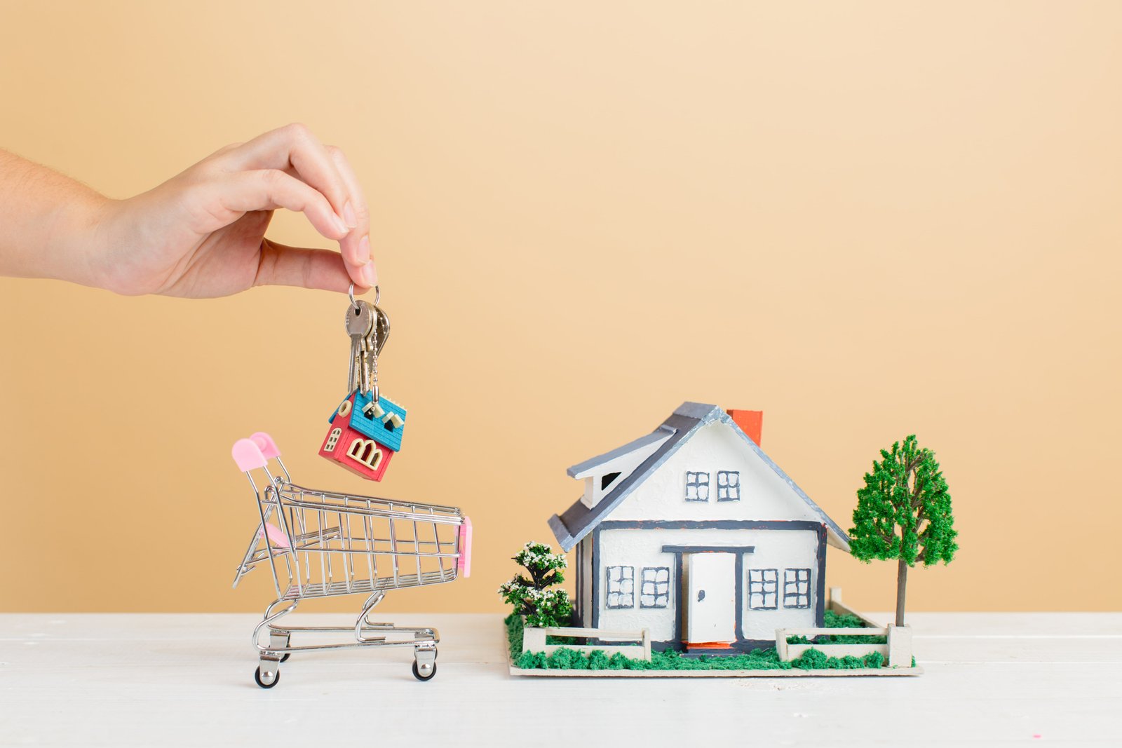 Noida Extension Flats