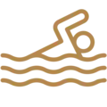 ace terra water features