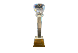 Times business awards for best luxury/ premium developer - Ace Golfshire