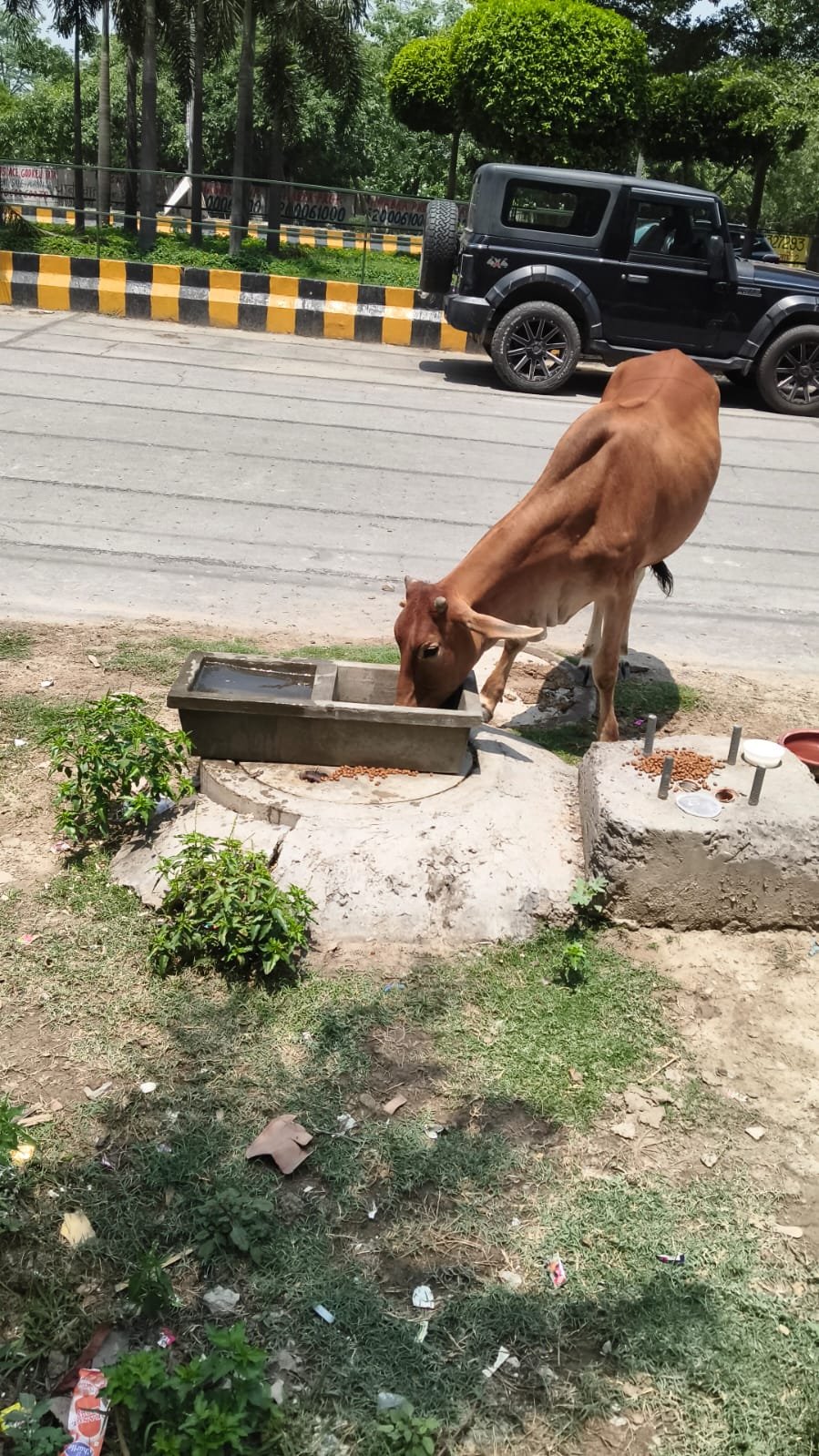 INSTALLING WATER DISPENSERS FOR PUBLIC AND TROUGHS, FOOD CONTAINERS FOR ANIMALS
