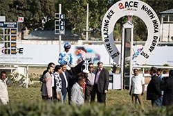 Events and Exhibitions