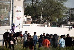 Events and Exhibitions