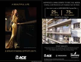 Print Campaign