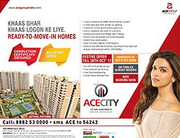 Print Campaign