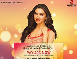 Print Campaign