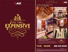 Print Campaign